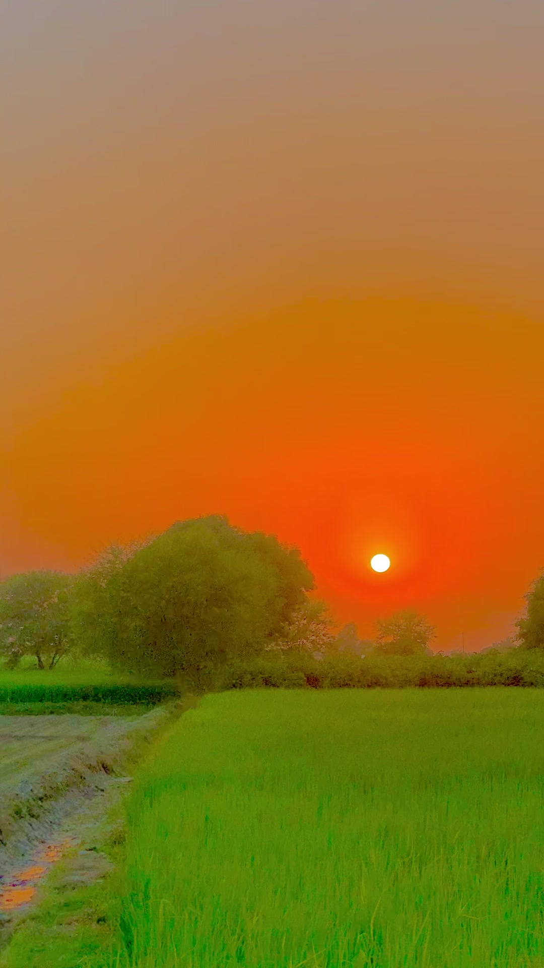 @𝐁 𝐈 𝐋 𝐀 𝐋 ヅ