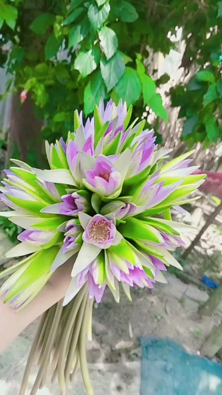 @𝐄𝐫𝐚 𝐂𝐡𝐞𝐫𝐫𝐲 🍒