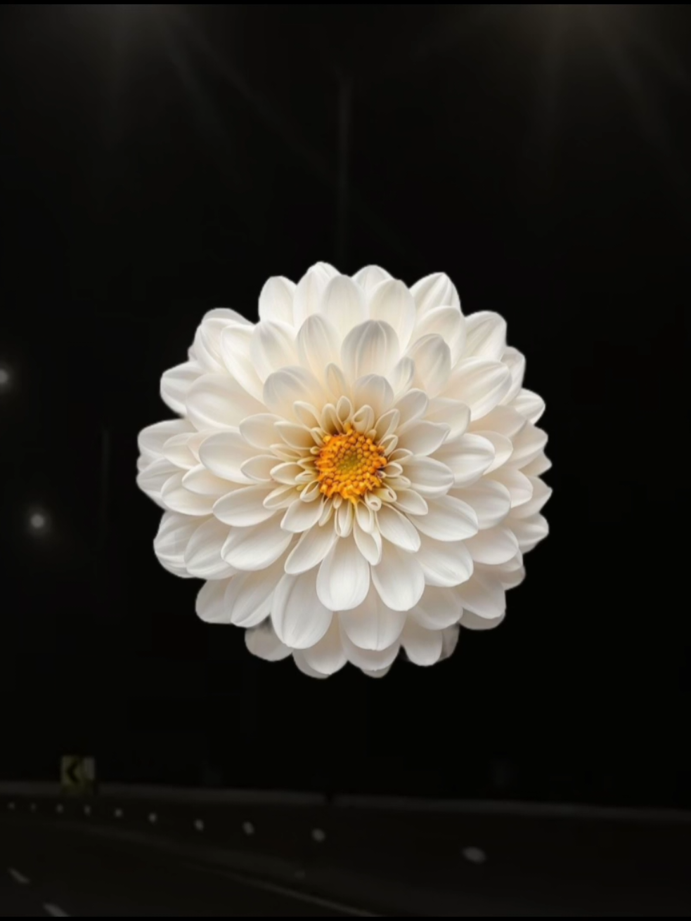@𝐗𝐕𝐈 𝐀.𝐂