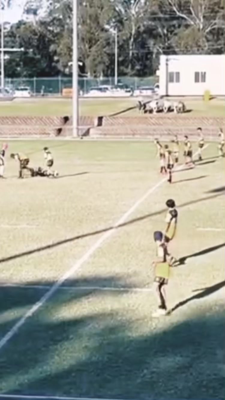 @Blacktown city 14/2s
