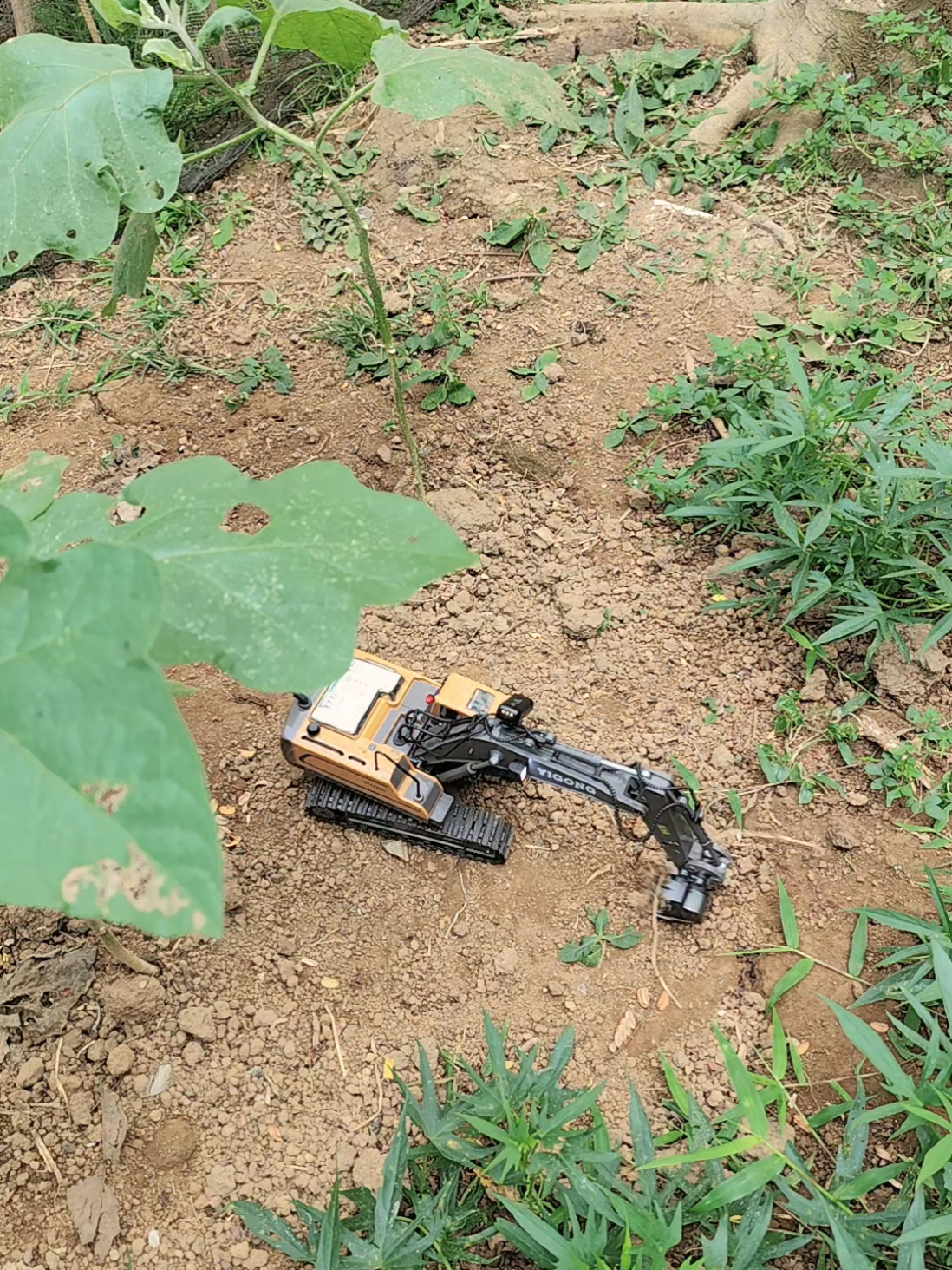 @ZAFRANALIF26
