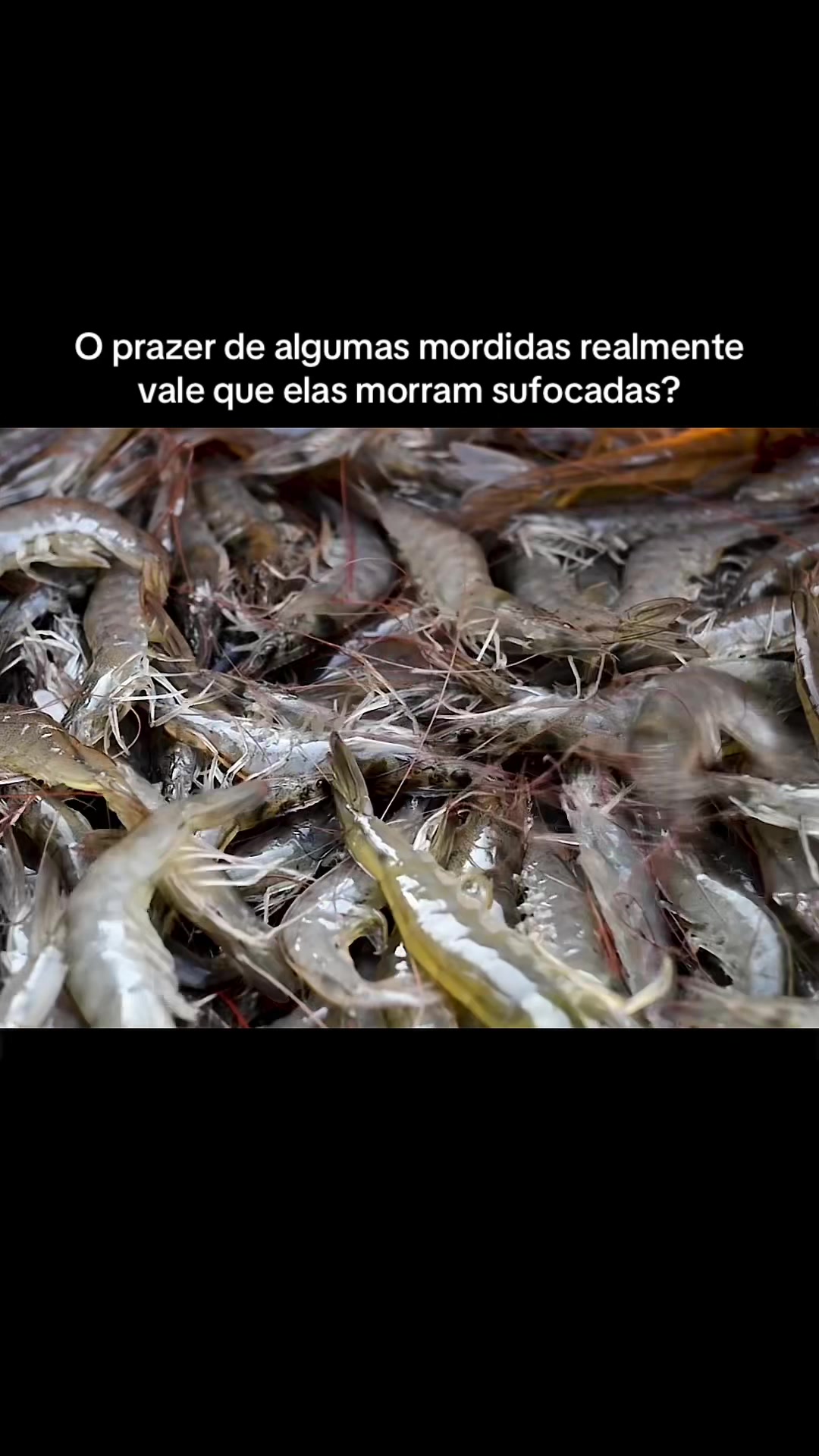 @Carne &eacute; cruel
