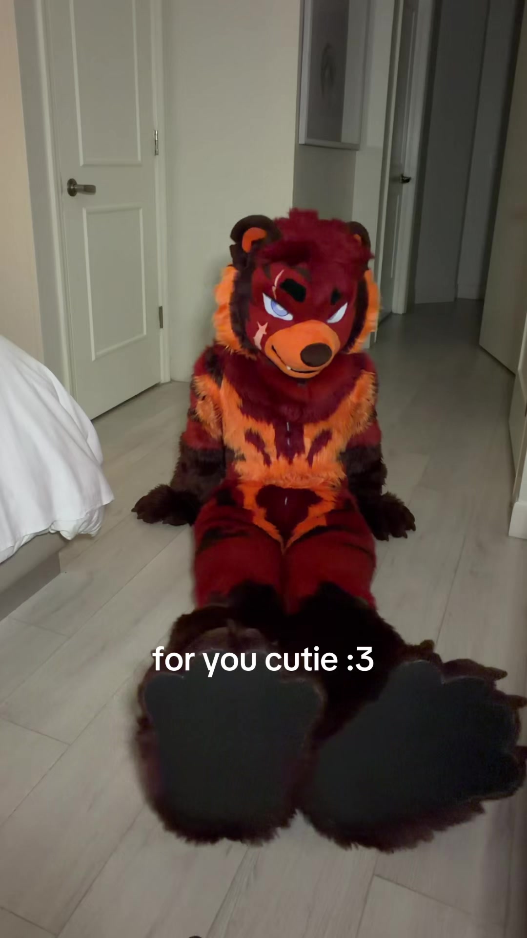 @UrsoFax