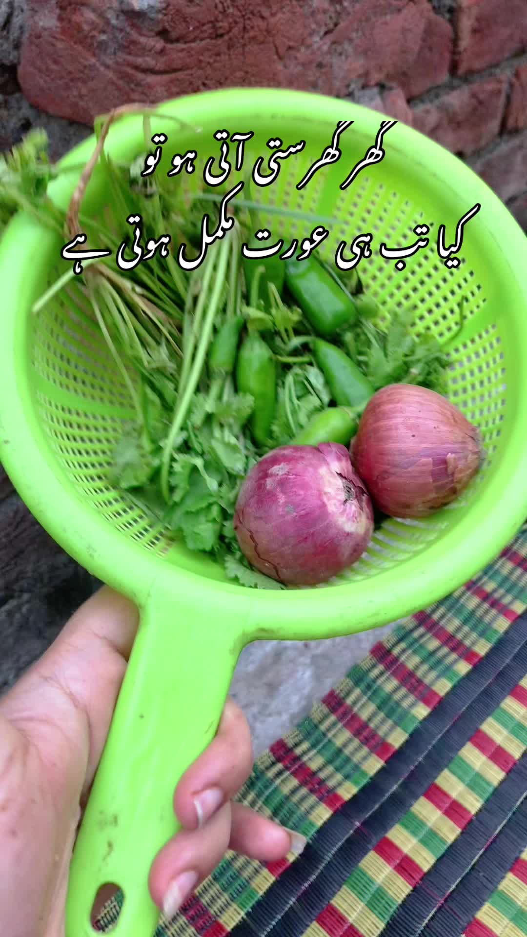 @Bakhtawar Zunair