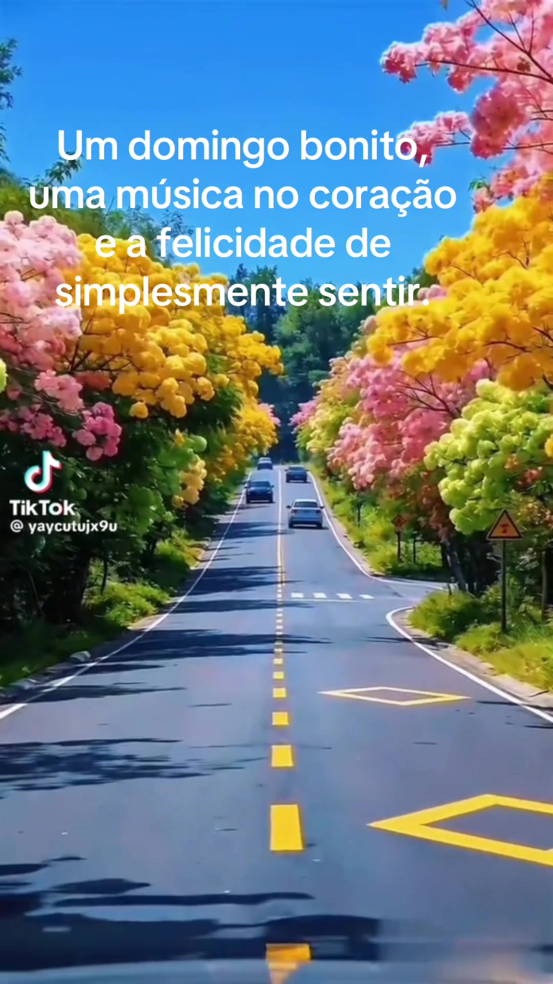 @auras_poems