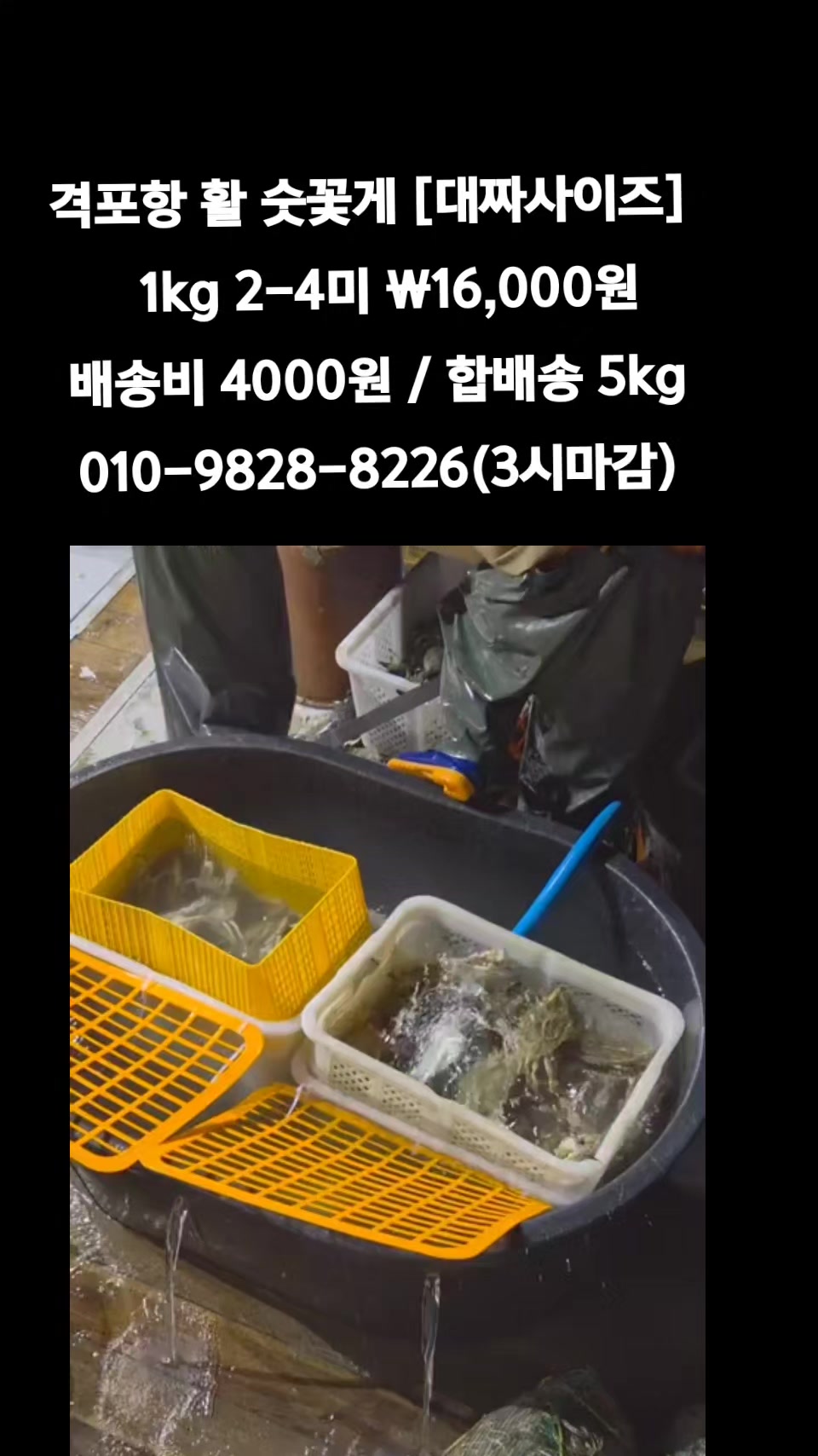 @똑손