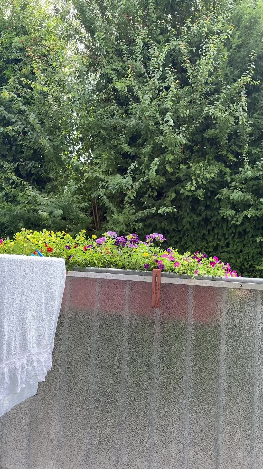 @𝐀𝐥𝐞𝐧𝐚