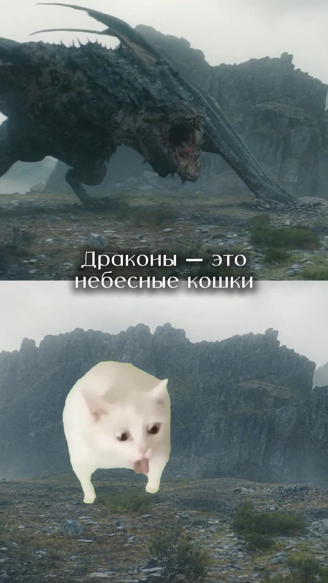 @Интроверт