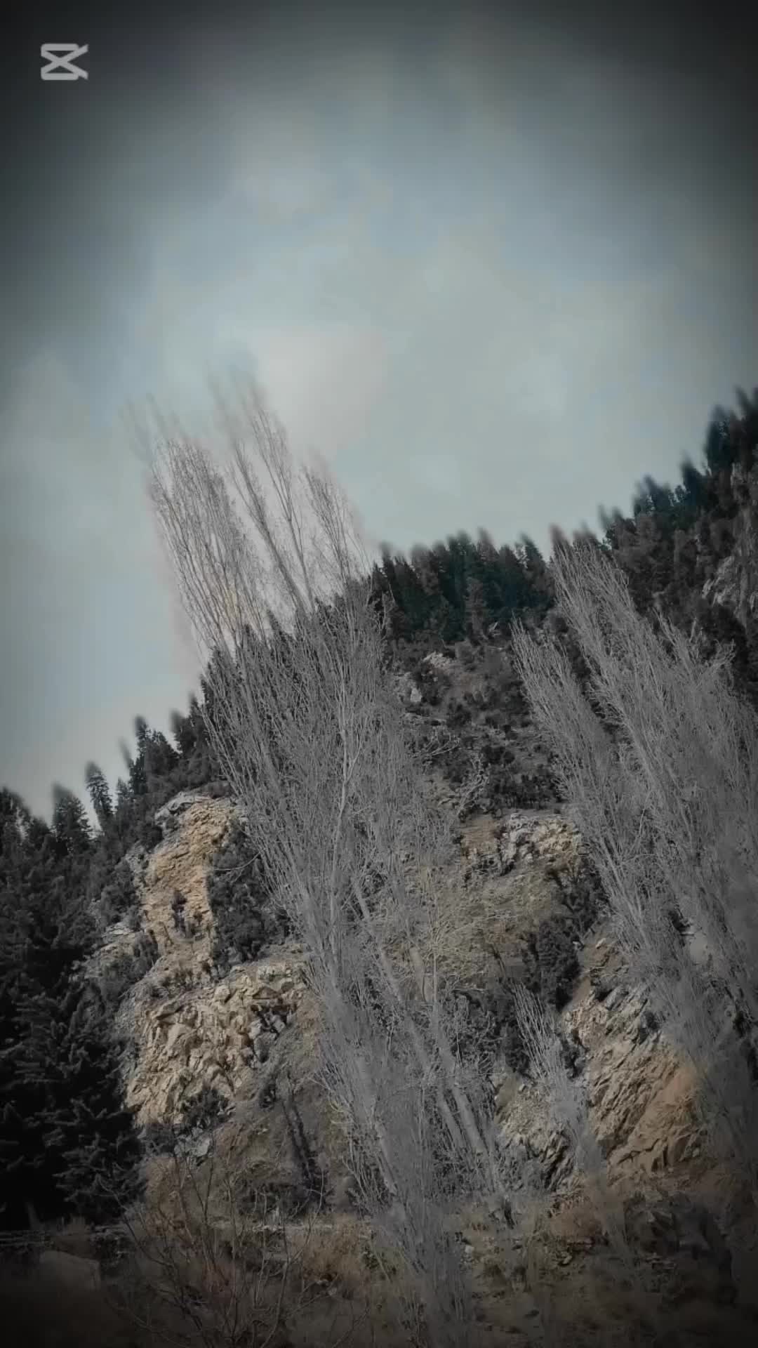 @𝕊ℍ𝔸𝕂𝕀ℝ 𝔾𝕌𝕃𝕃𝕀🚩