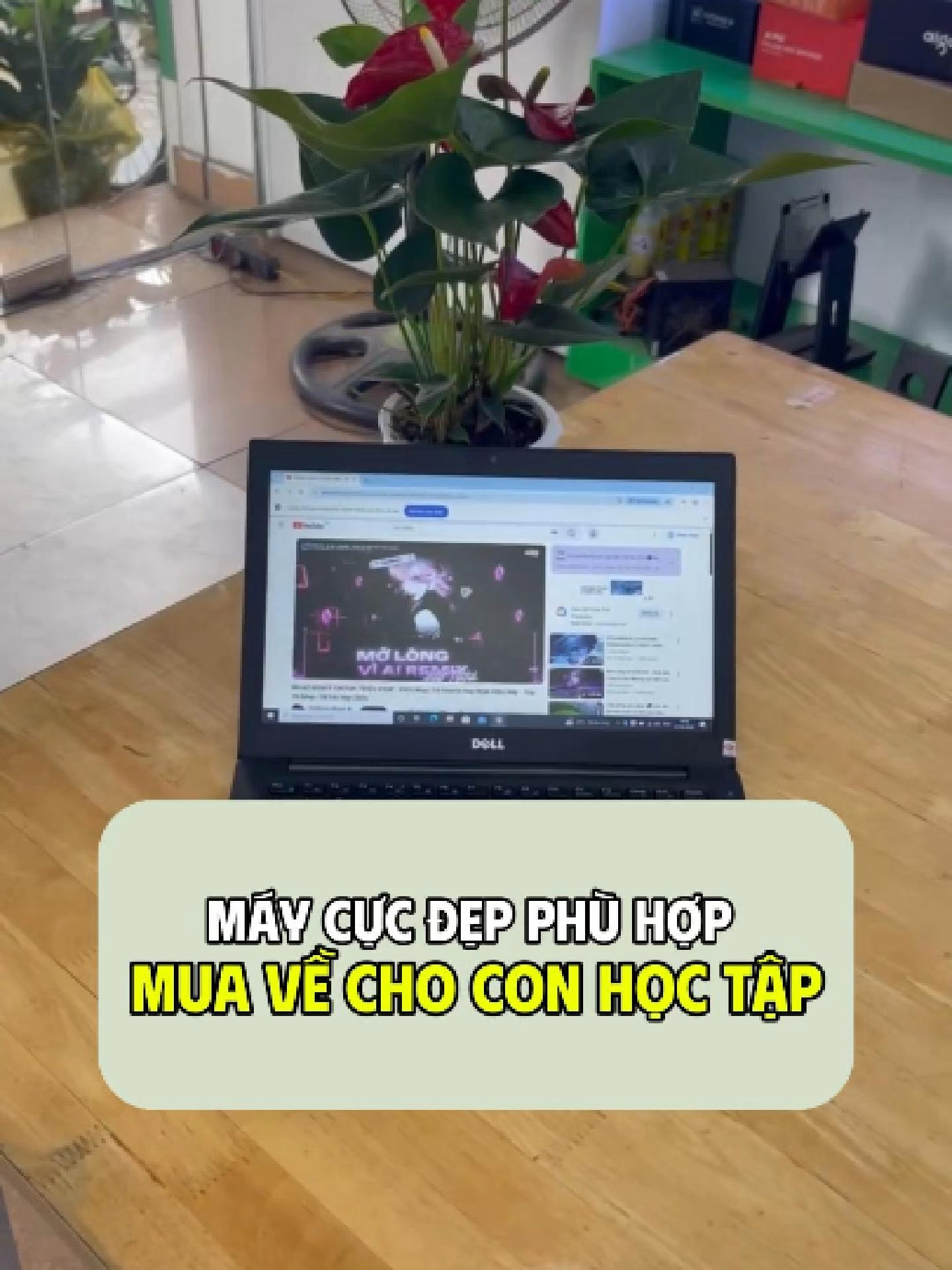 @Laptop 360