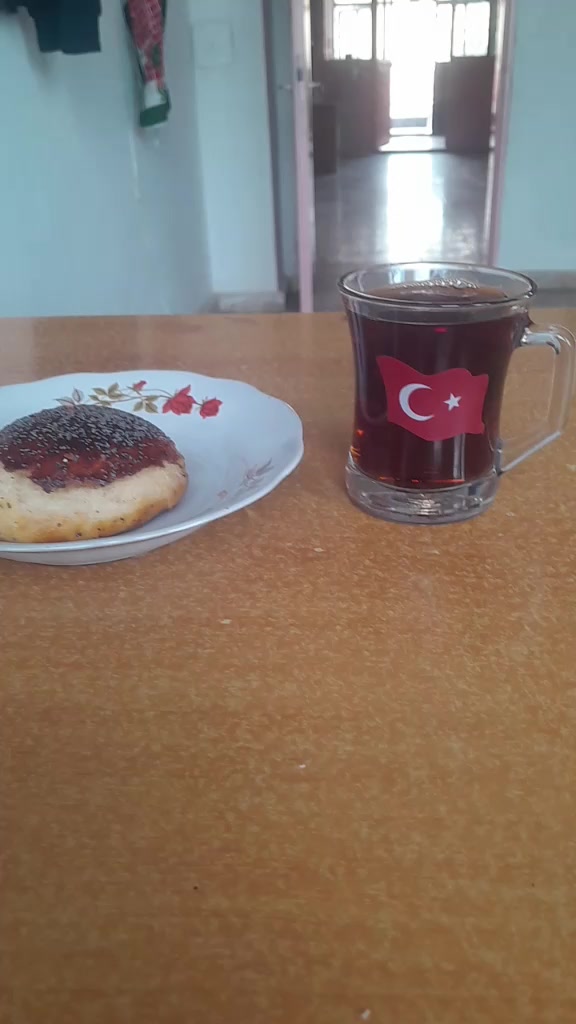 @Havvabilgin