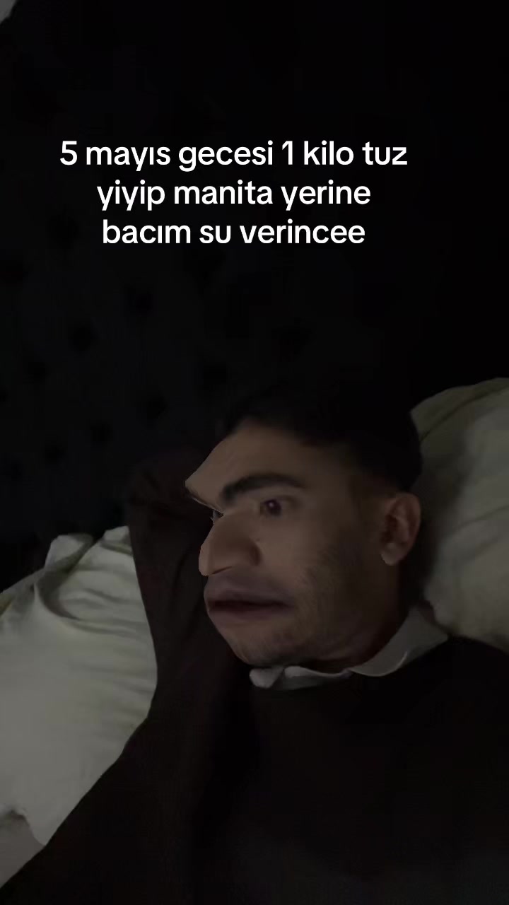@halitlendik