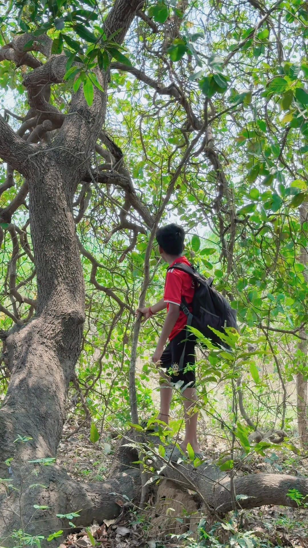 @Rajaniravi_padala