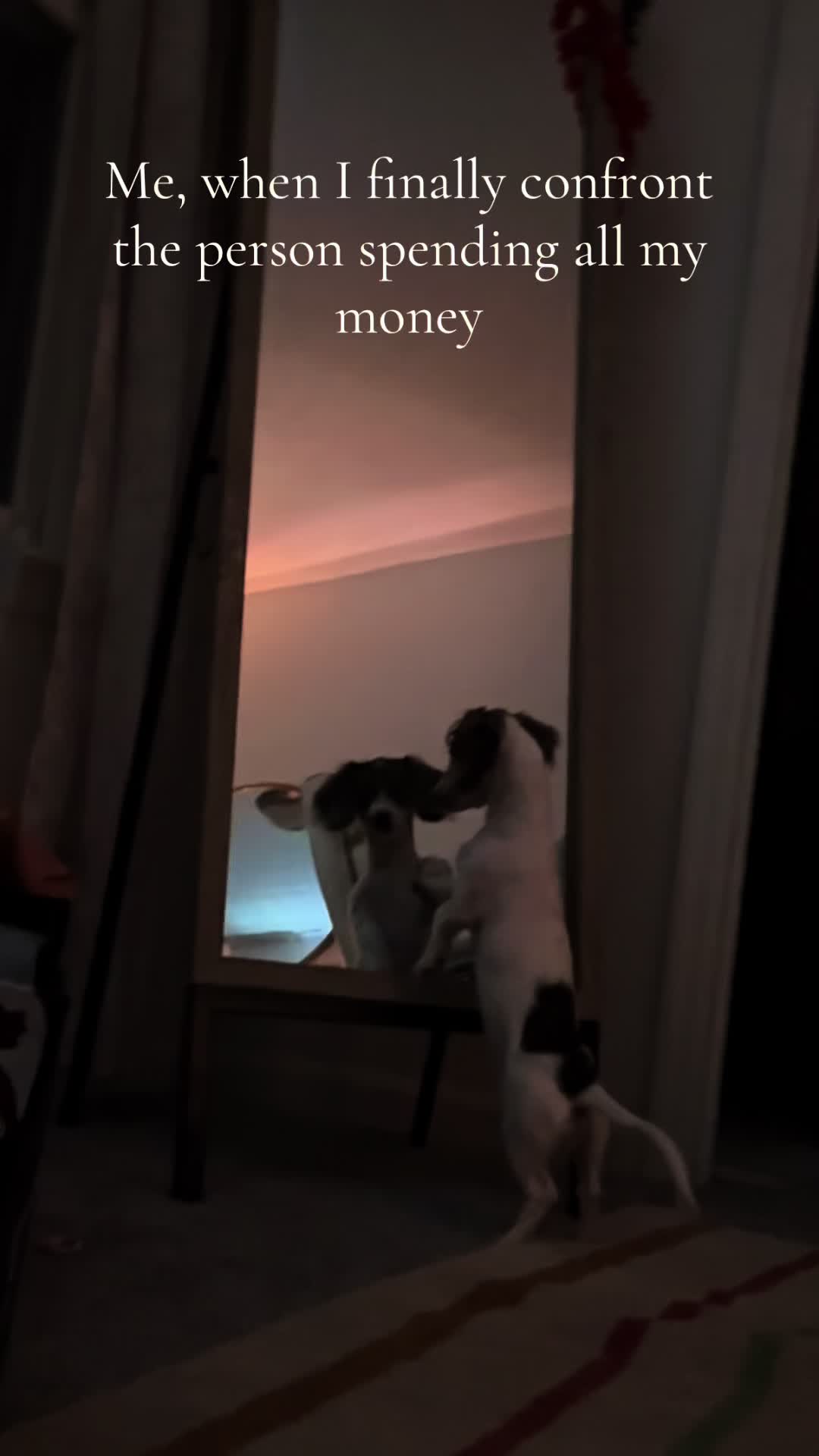 @kmbitz
