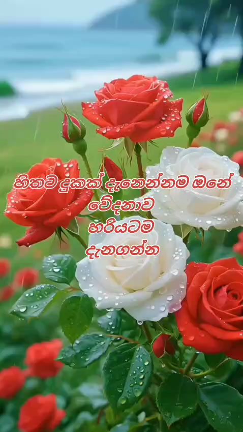 @bandaracreation107
