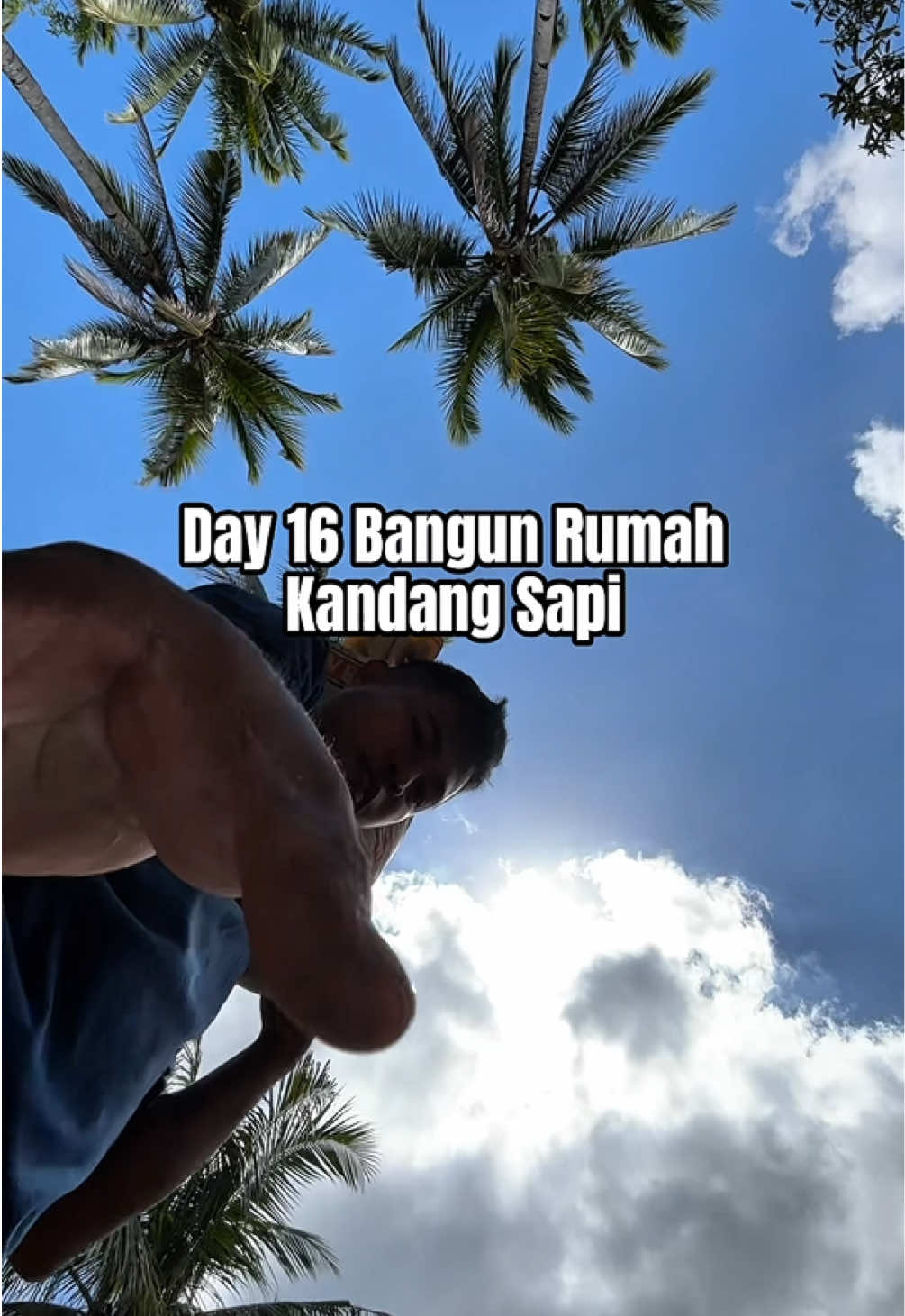 @Ka Bong 🌴