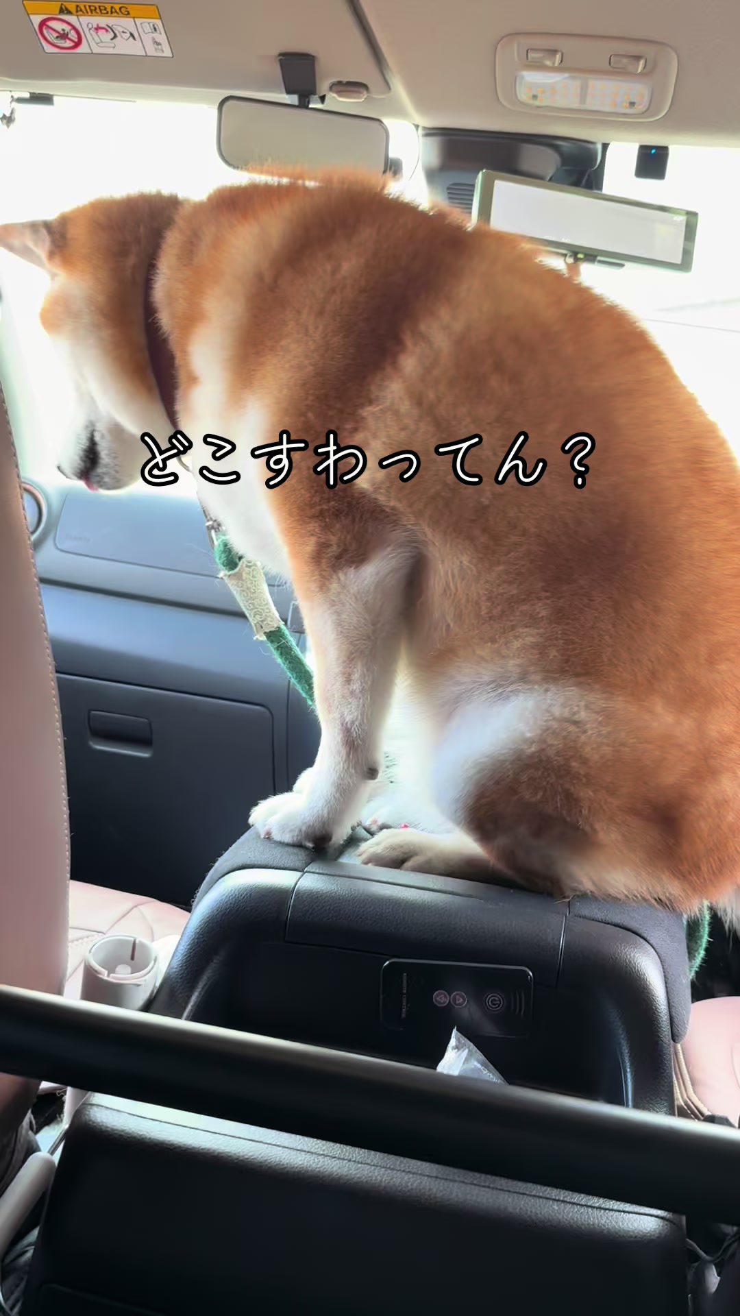 @nana0209 🪽🥴