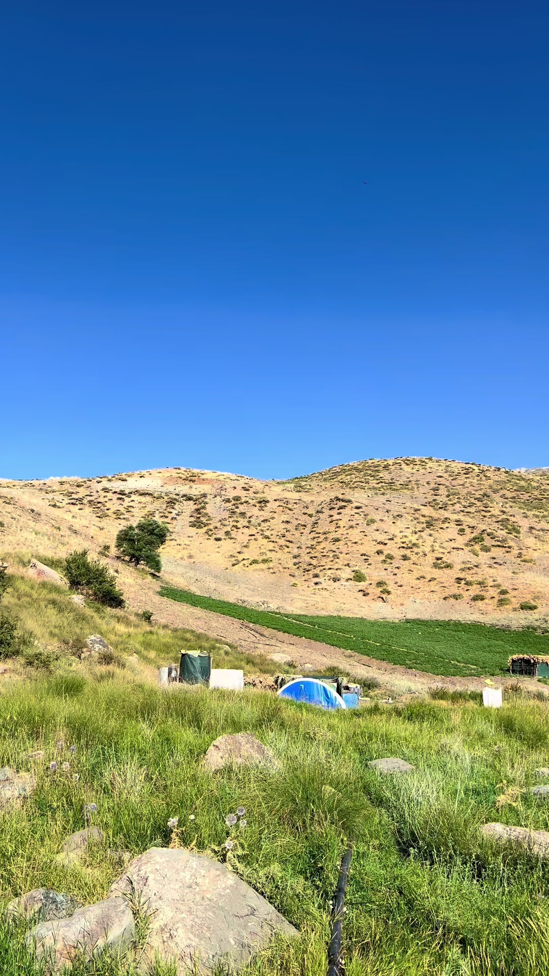 @ئاراز برادۆستی