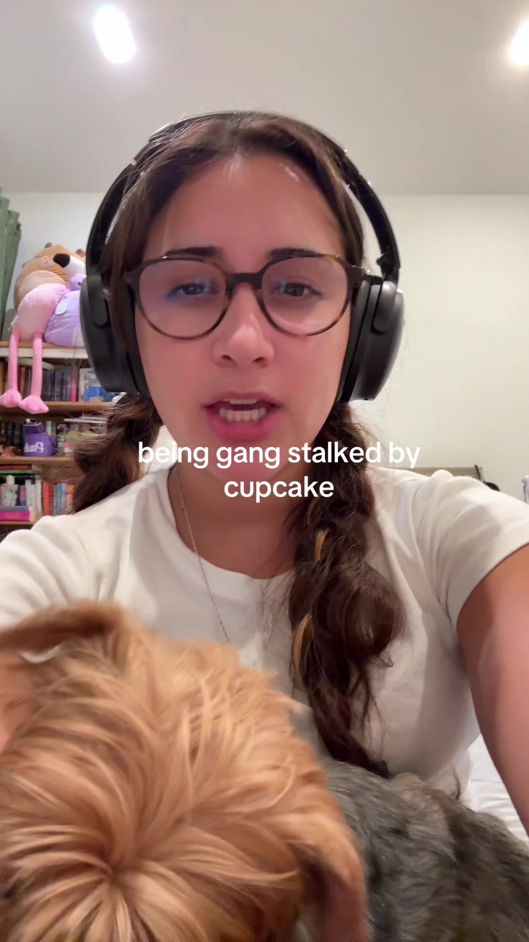 @pj