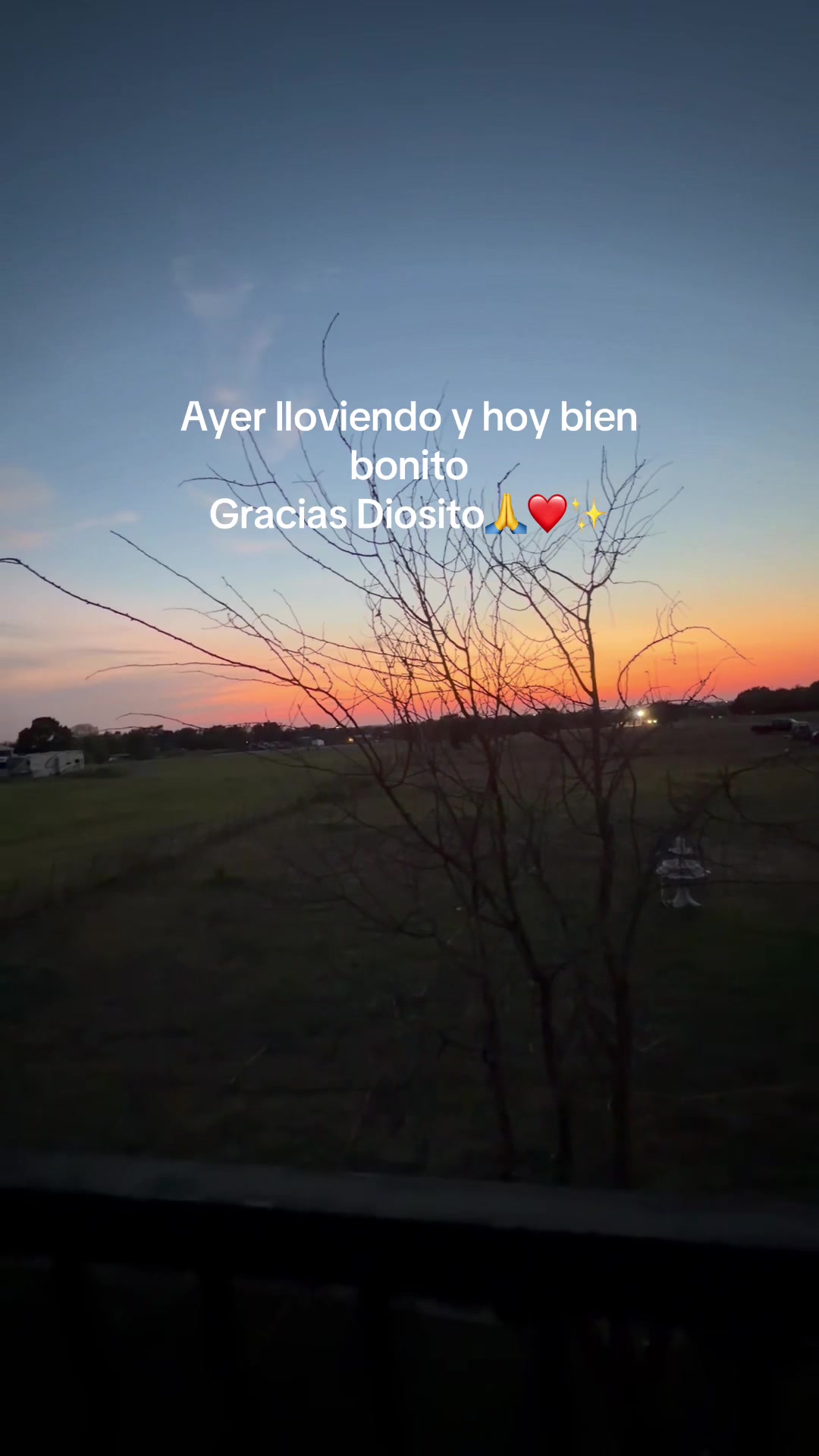 @Meyhrdz