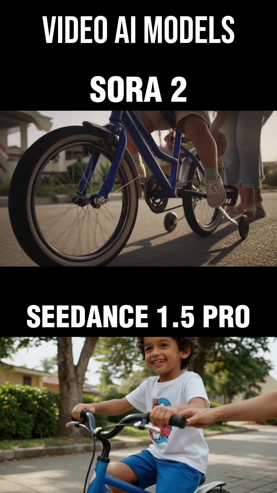 @denjie