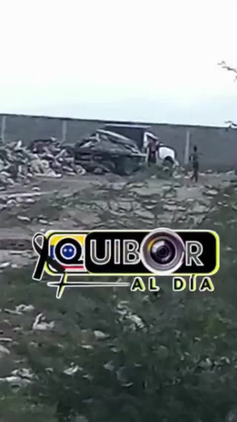 @Quiboraldia