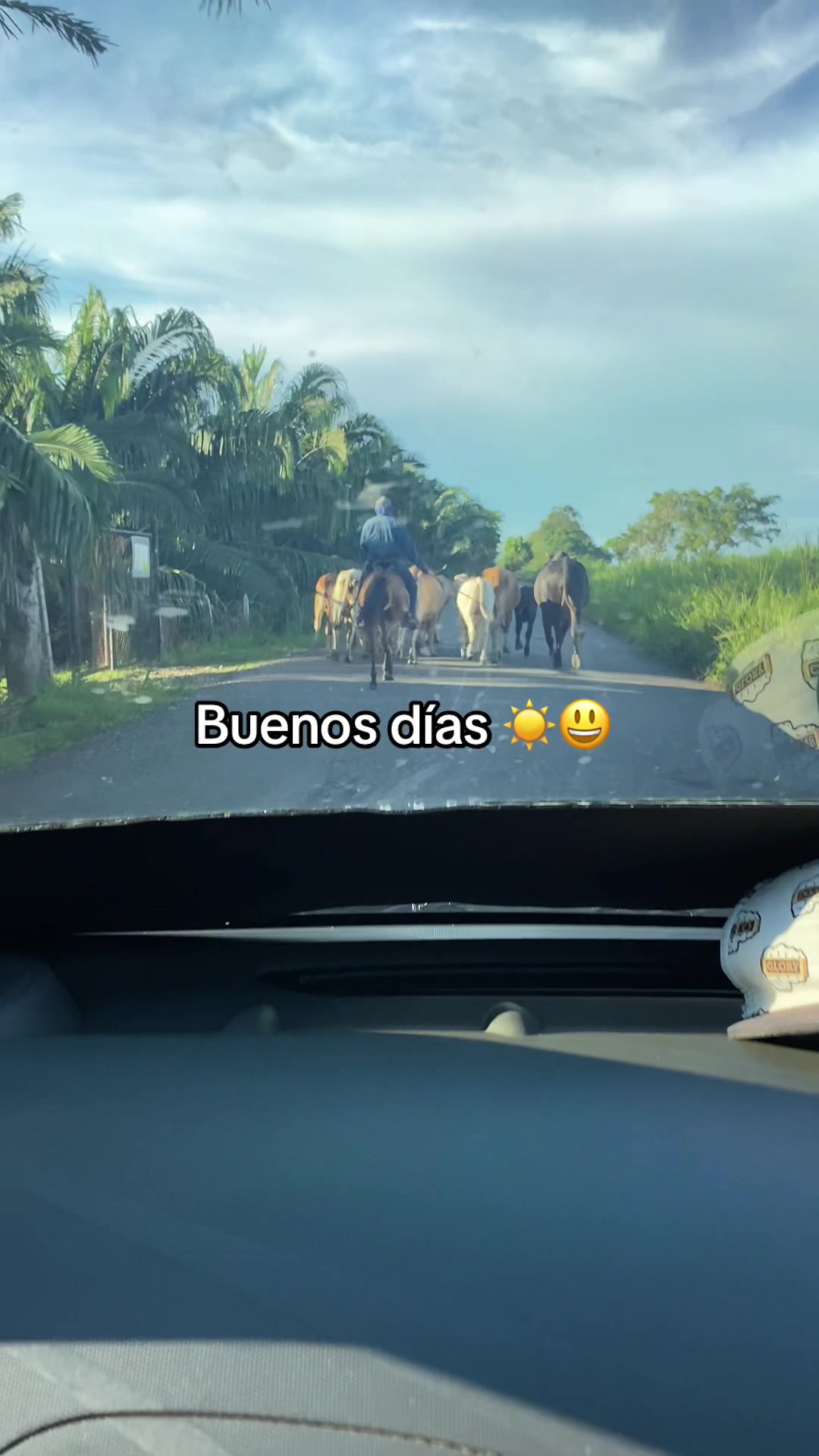 @🎵buenaver-estados✏️