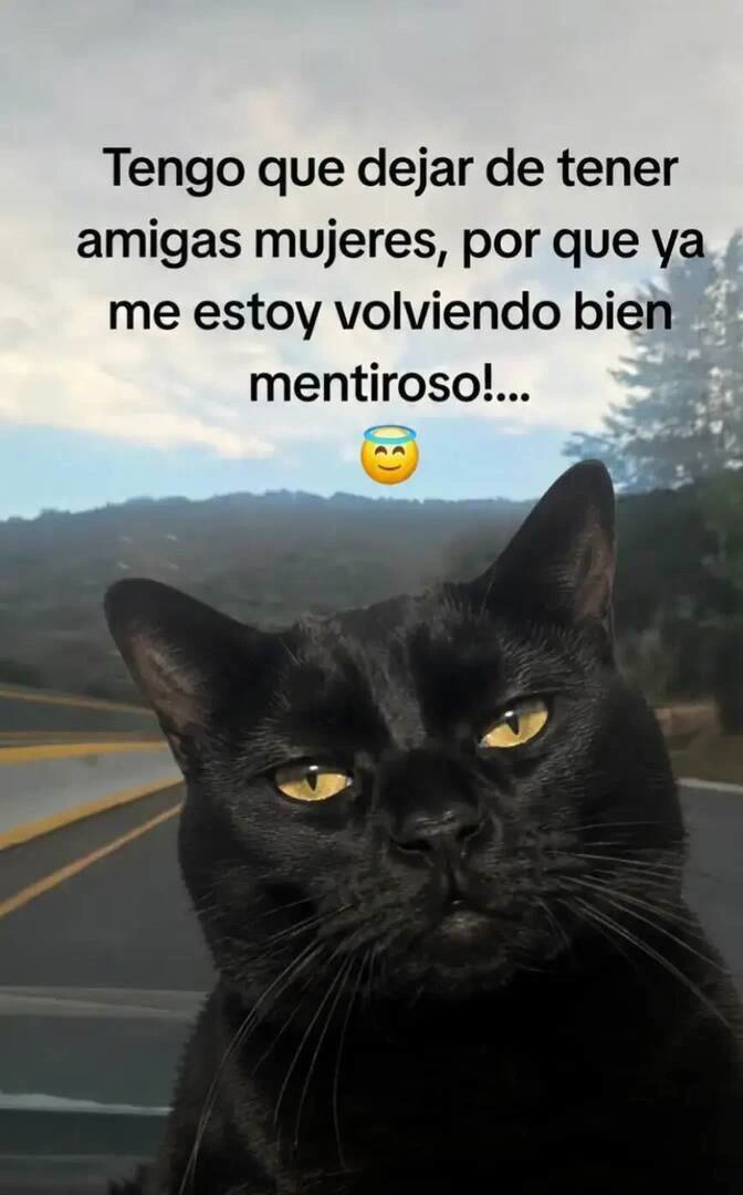 @👑☀️Jmlarry Hernández☀️👑
