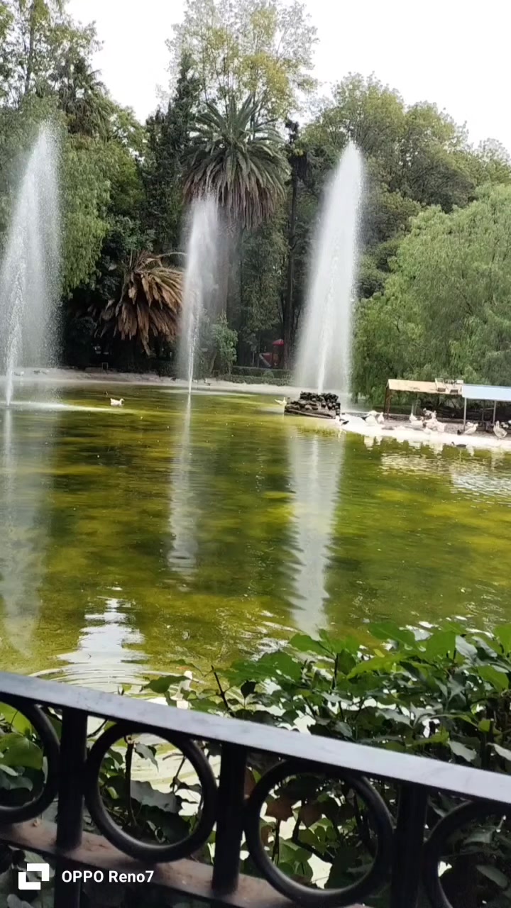 @misigc