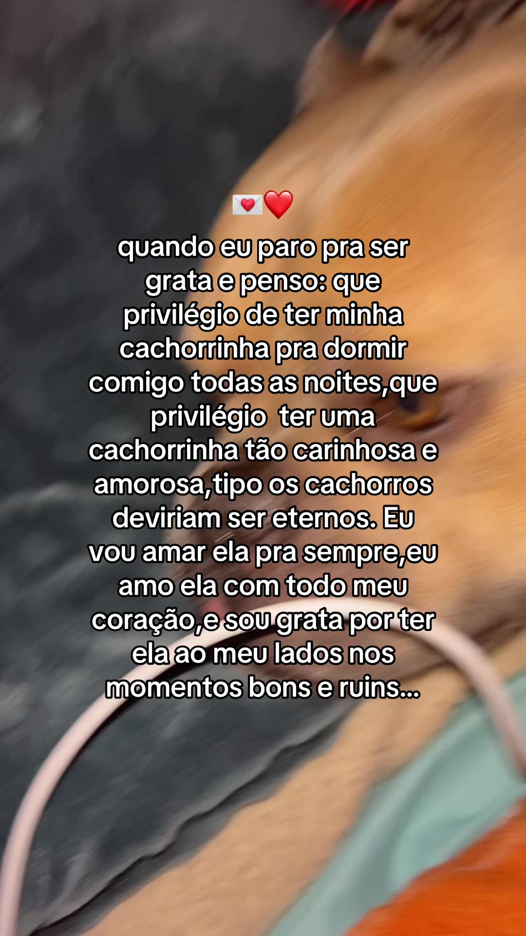 @Twitterpessoal🤹