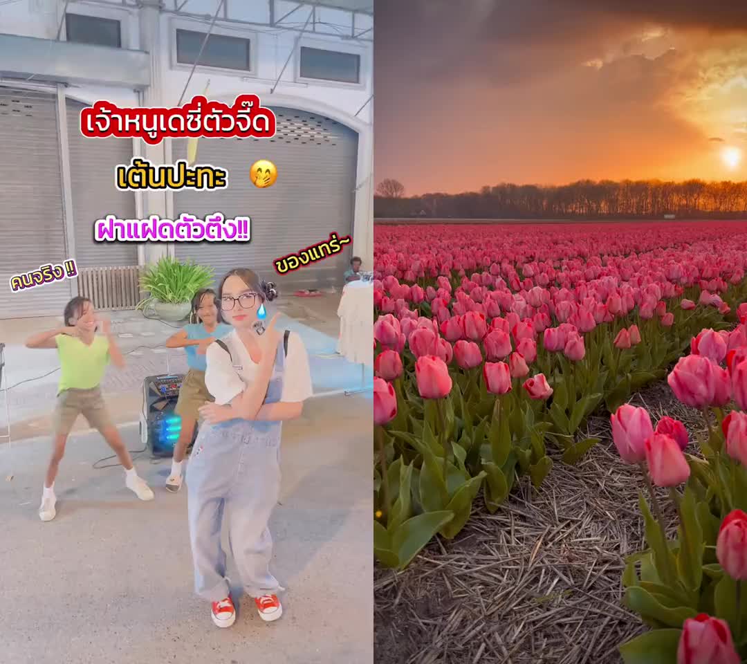 @เจ้าหนูเดซี่ตัวจี๊ด