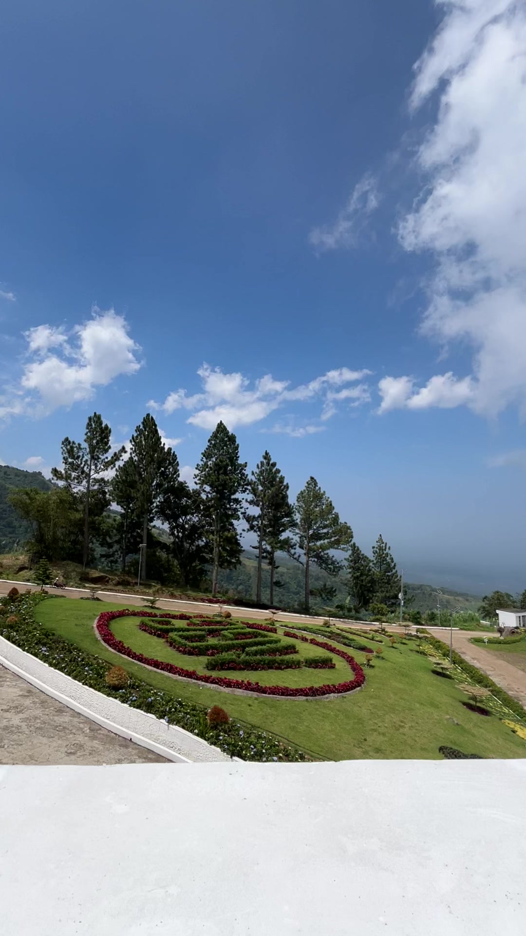 @Shane୨୧