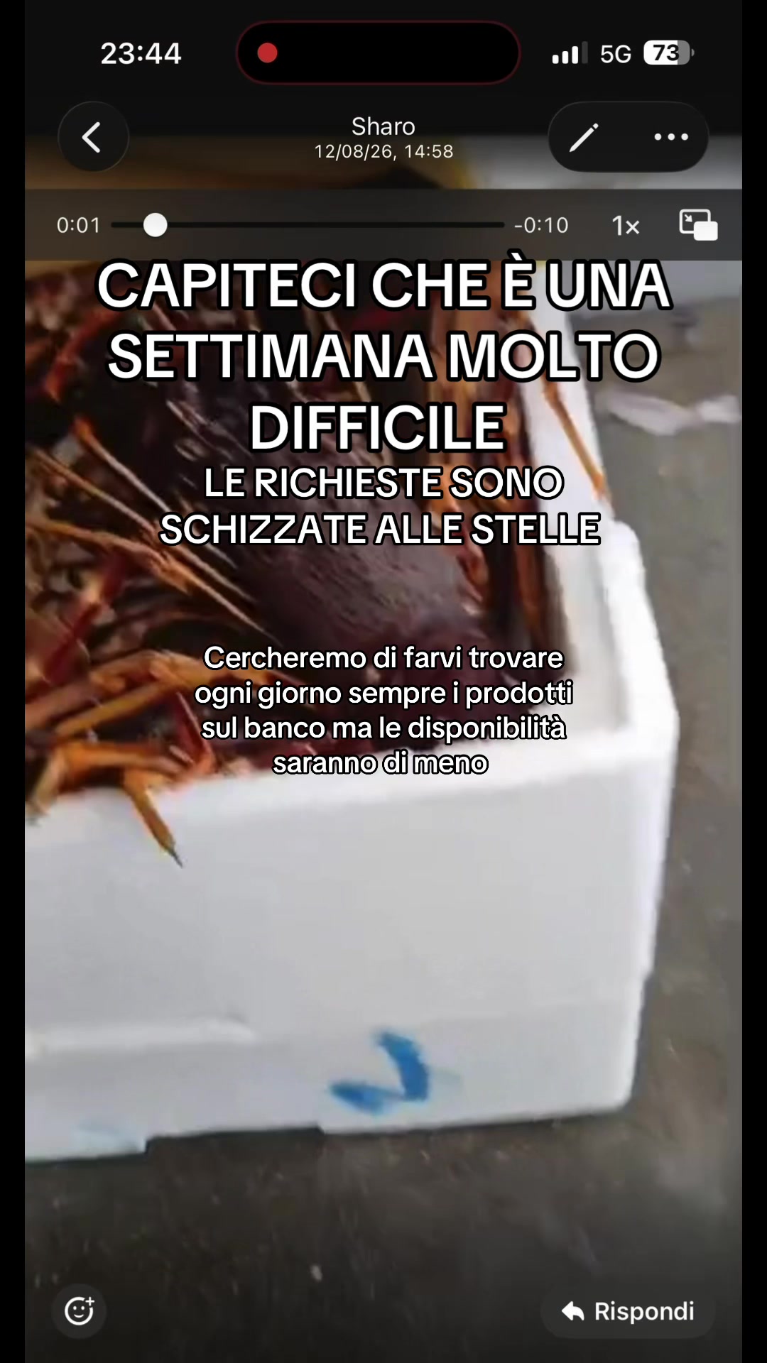 @Pescheria F.LLI D’Andria 68º