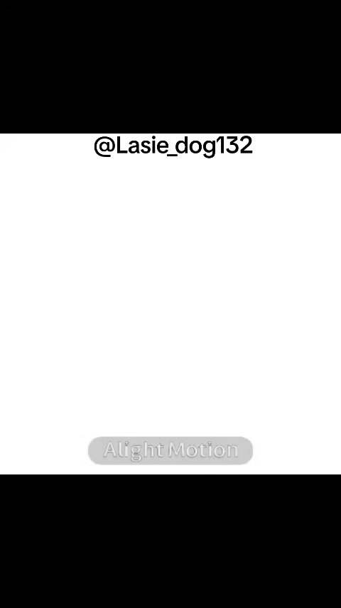 @собака Лейси👑|||🐶✅🐱✅