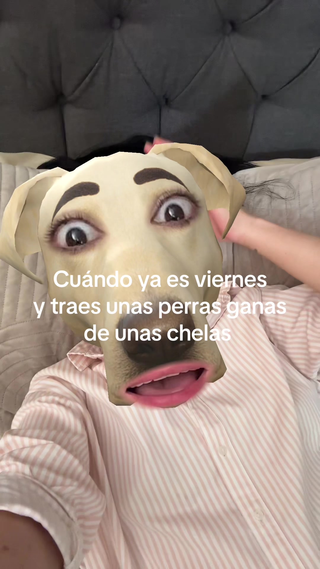 @𝓟𝑺 ✌︎㋡