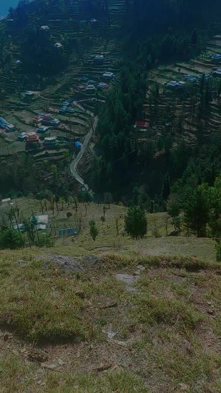 @riazmagray