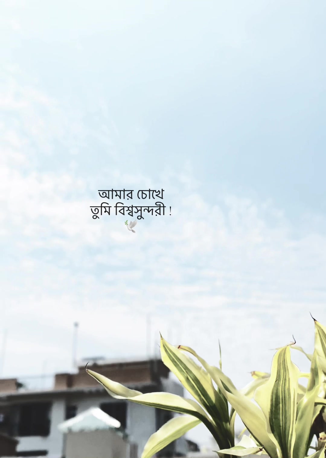 @কথা আছে:) 📌