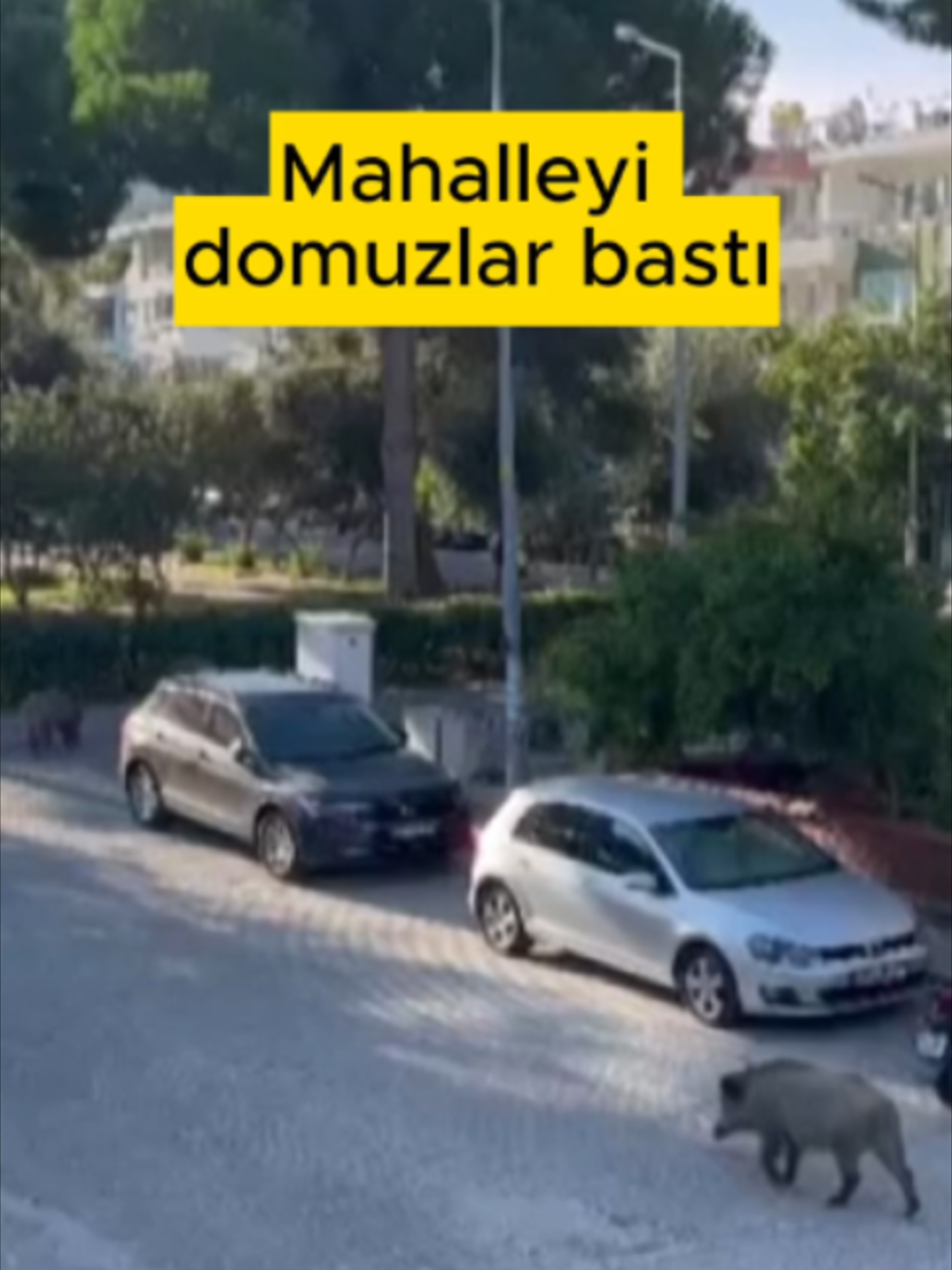 @Bir Muhabir