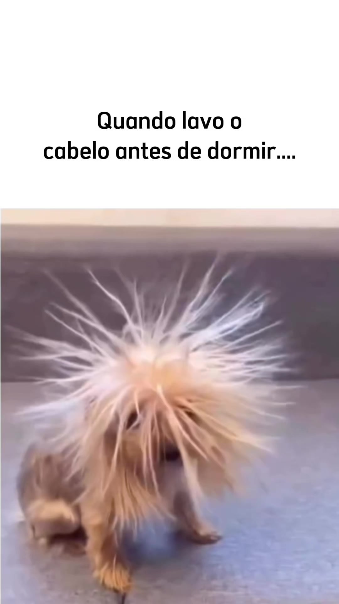 @Astral