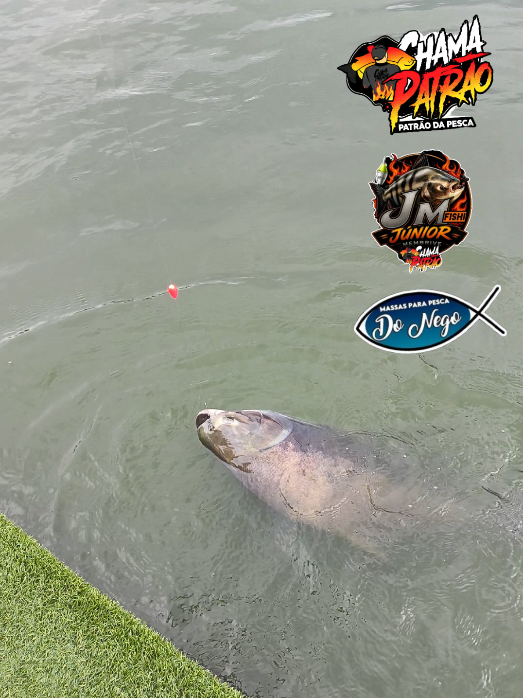 @Patr&atilde;o da Pesca