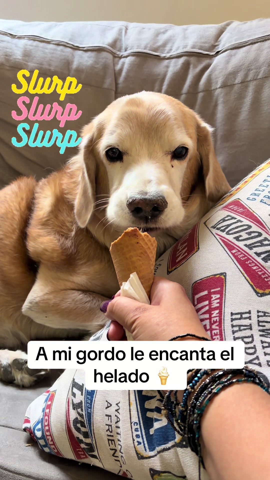 @Srta. Freud