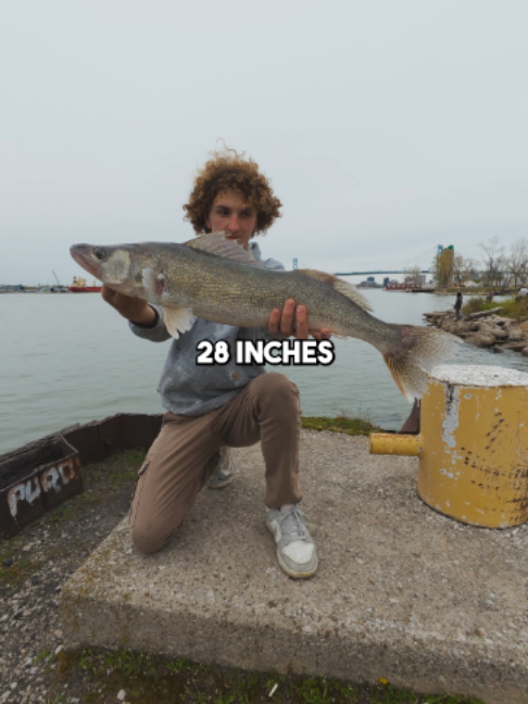 @Stef Fish