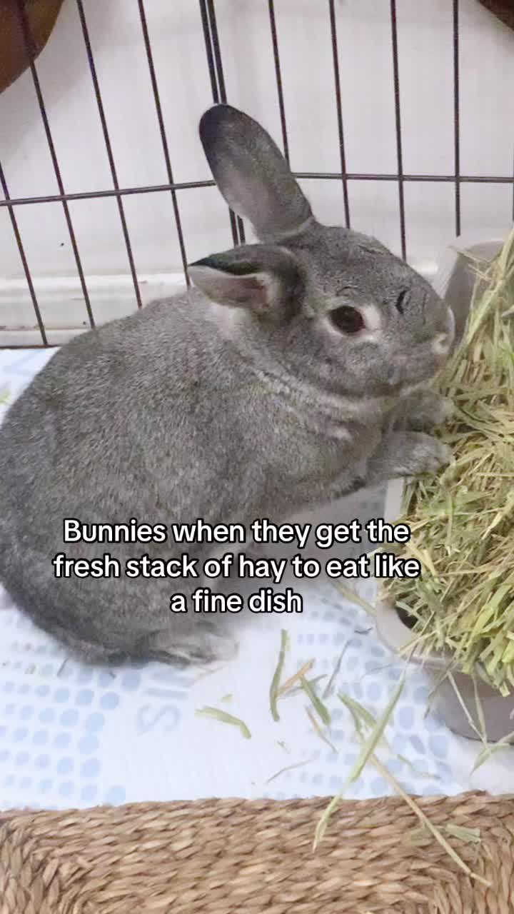 @interestinglilcreature