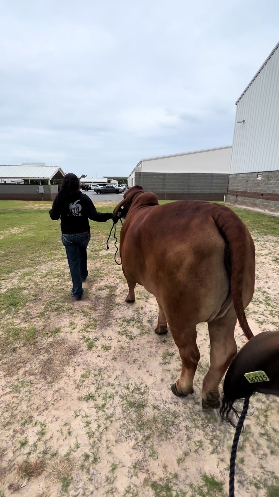 @The V6 Ranch