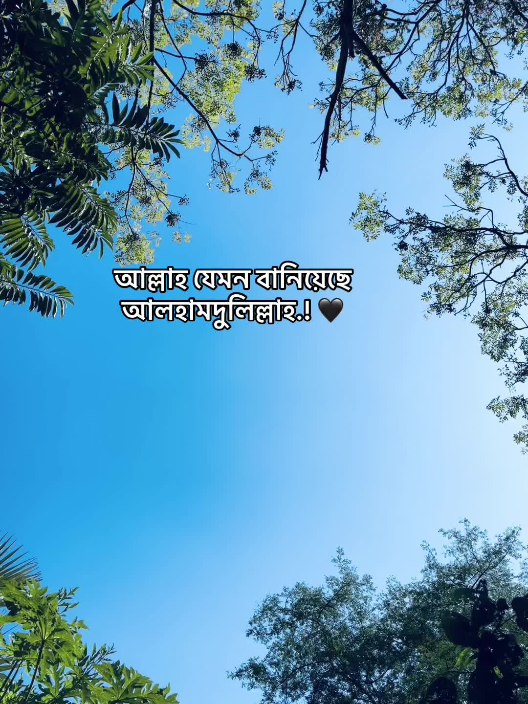 @সা জু 📜