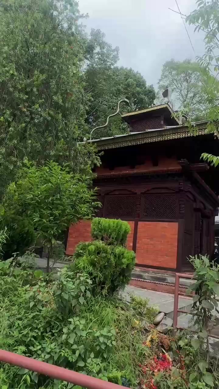 @🦚Sulochana Timilsina🦚