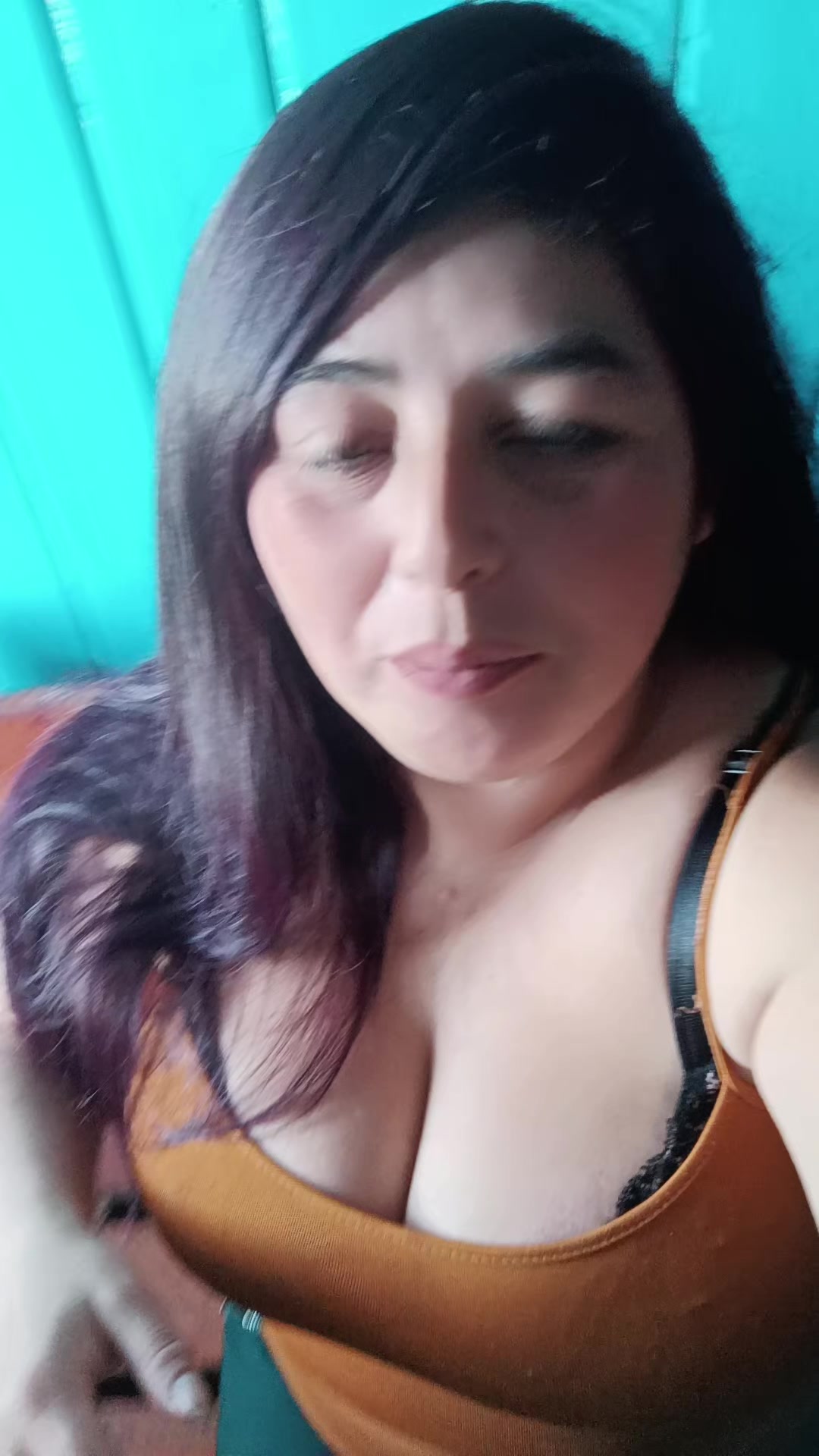 @xexe