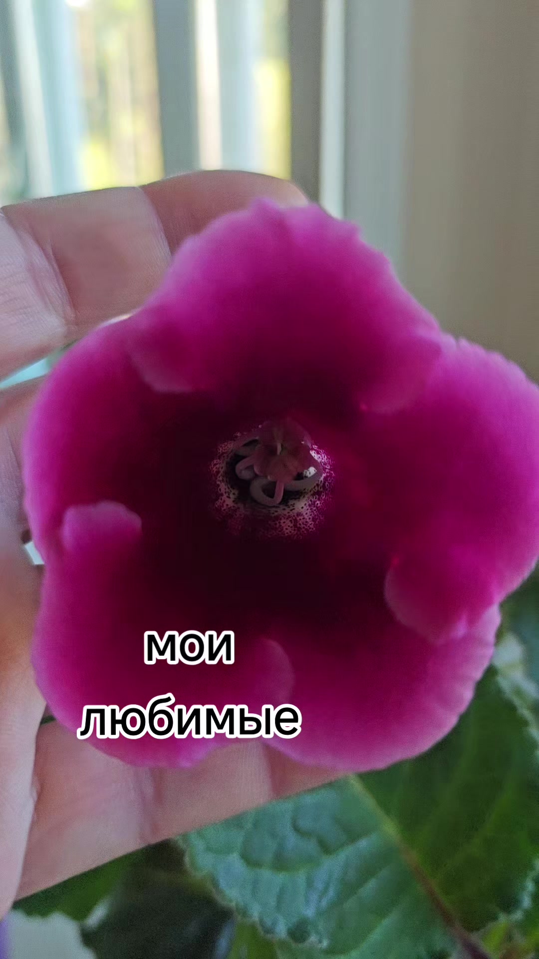 @Картофель Могилёв