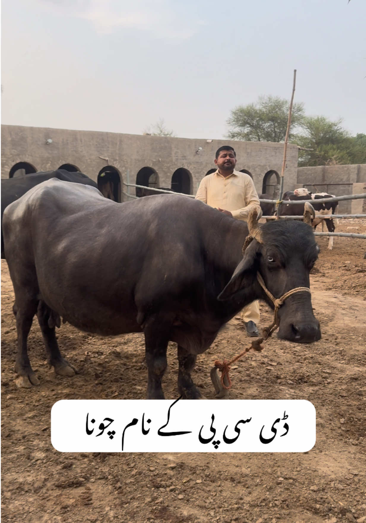 @Dr.Mohsin