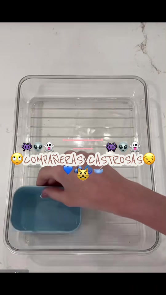 @🕷️dragón pitter 🐍